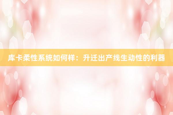 库卡柔性系统如何样：升迁出产线生动性的利器