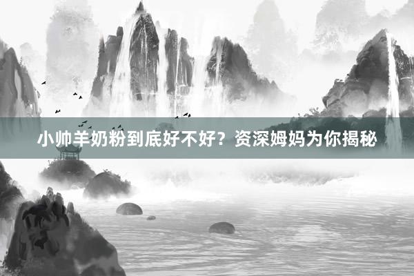小帅羊奶粉到底好不好？资深姆妈为你揭秘