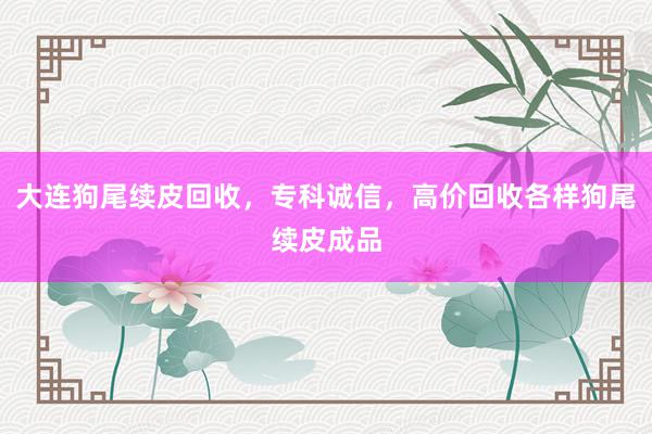大连狗尾续皮回收，专科诚信，高价回收各样狗尾续皮成品